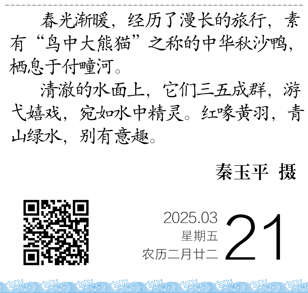 3041742459684_.pic.jpg