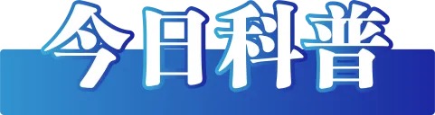 22631749127606_.pic.jpg