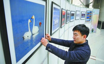 生態(tài)鳥展走進(jìn)“兩會(huì)”會(huì)場