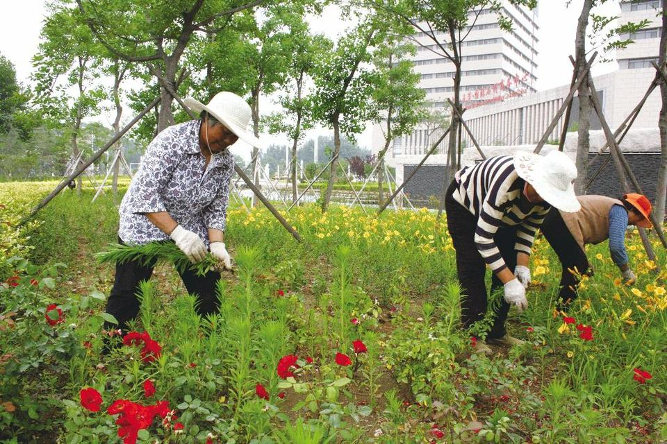 街頭鎮(zhèn)護(hù)水養(yǎng)綠打造生態(tài)綠色景觀