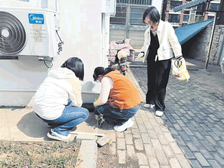 開展環(huán)境衛(wèi)生整治行動